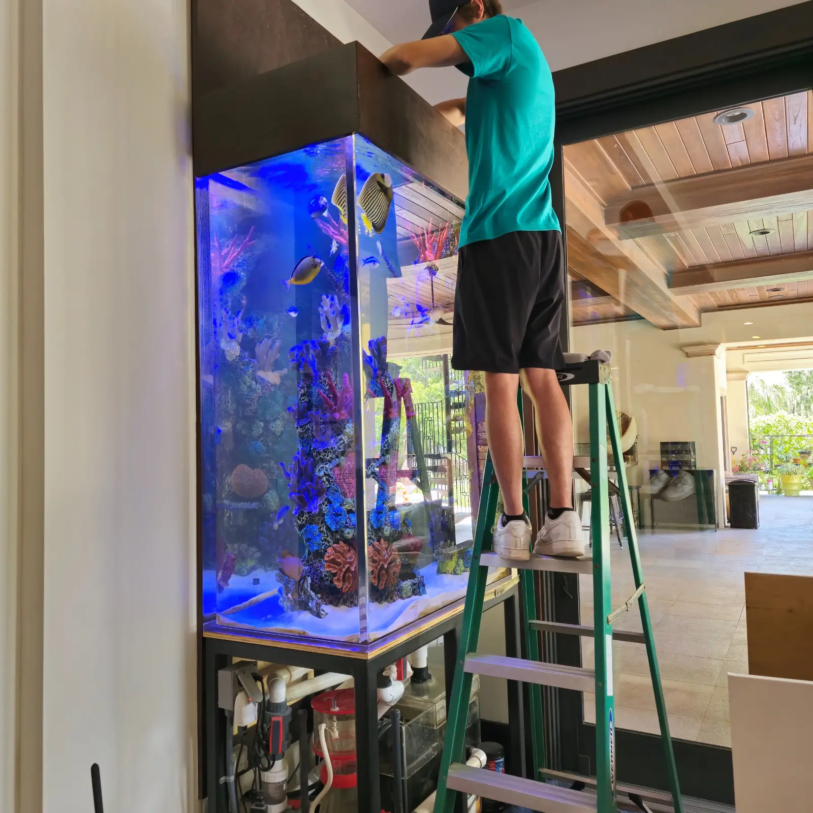 Technician working above a tall aquarium